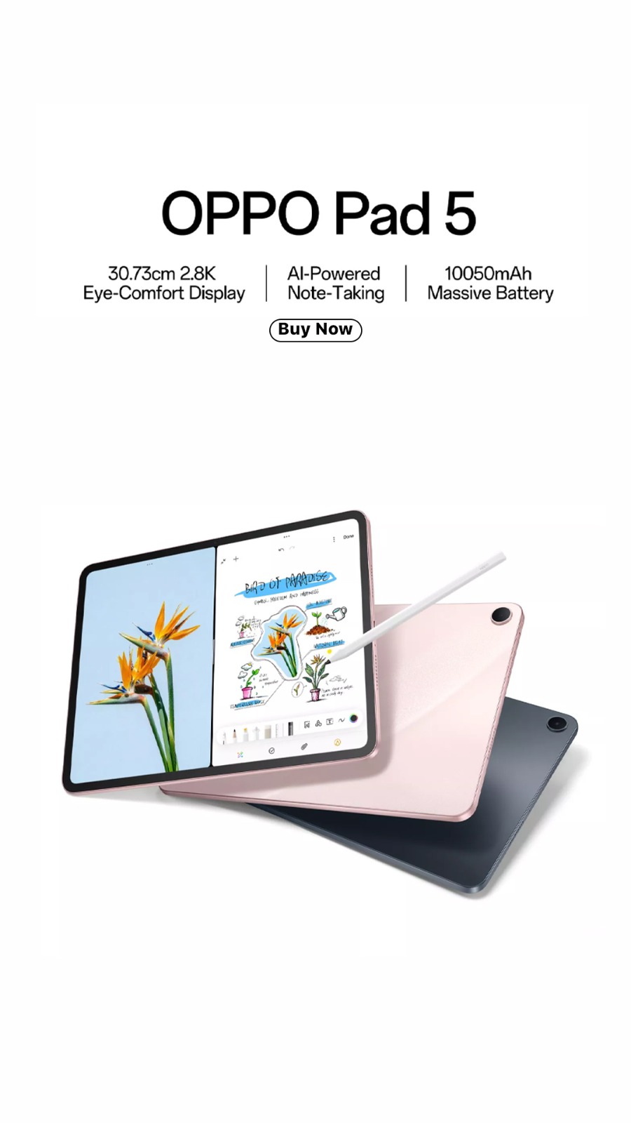 Pad 5
