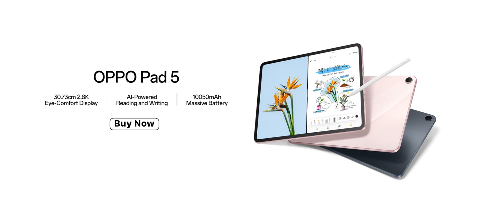 Pad 5